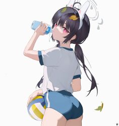 1girl animal_ears ass ball black_hair blue_archive blue_buruma bottle buruma candy_man fake_animal_ears from_behind grey_halo gym_shirt gym_uniform halo highres holding holding_ball holding_bottle leaf leaf_on_head looking_at_viewer miyu_(blue_archive) shirt solo volleyball white_background white_shirt