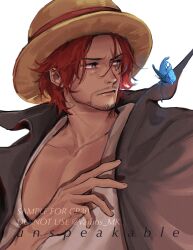 Rule 34 | 1boy, absurdres, beard, black cape, blue butterfly, bug, butterfly, cape, collarbone, connected beard, facial hair, hat, highres, insect, looking at animal, male focus, one piece, pectoral cleavage, pectorals, red hair, scar, scar across eye, scar on face, shanks (one piece), short hair, simple background, solo, straw hat, upper body, vamos mk, watermark, white background