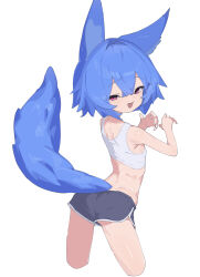 1girl absurdres animal_ears black_shorts blue_hair breasts commentary cropped_legs dolphin_shorts fox_ears fox_girl fox_tail from_behind hair_between_eyes half-closed_eyes highres looking_at_viewer looking_back miya_(myakuro) myakuro open_mouth original red_eyes short_hair short_shorts shorts simple_background small_breasts solo sports_bra tail white_background white_sports_bra