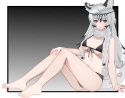Rule 34 | 1girl, :&lt;, absurdres, animal ears, arknights, barefoot, bikini, black background, black bikini, black eyes, black hair, blush, border, braid, breasts, bright pupils, chinese commentary, closed mouth, commentary request, feet, full body, gradient background, grey background, grey hair, grey tail, hair between eyes, hand on own knee, highres, knees up, long hair, looking at viewer, medium breasts, multicolored hair, muusn, navel, outside border, pramanix (arknights), sitting, solo, streaked hair, swimsuit, tail, toenails, toes, twin braids, white border, white pupils