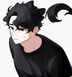 Rule 34 | 1boy, animal ear fluff, animal ears, black eyes, black shirt, closed mouth, commentary request, crew neck, curtained hair, haikyuu!!, hobppi22, kemonomimi mode, korean commentary, looking ahead, male focus, nervous sweating, sakusa kiyoomi, shirt, short hair, simple background, solo, sweat, t-shirt, tail, wavy hair, white background
