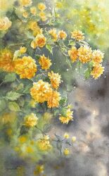 Rule 34 | blurry, blurry background, flower, flower focus, highres, leaf, no humans, ooy33151086, original, painting (medium), plant, plant focus, signature, still life, traditional media, watercolor (medium), yellow flower