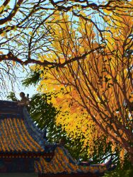 Rule 34 | absurdres, architecture, autumn leaves, blue sky, building, chromatic aberration, commentary request, day, east asian architecture, fangpeii, highres, leaf, no humans, original, outdoors, scenery, sky, tree