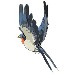 animal_focus bird chinese_commentary commentary_request from_side no_humans original simple_background spread_wings swallow_(bird) white_background zhanghemankong