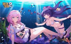 2girls animated animated_gif benghuai_xueyuan bikini bikini_skirt blinking blue_eyes blush bow bracelet breasts chinese_commentary cleavage commentary_request copyright_logo elf elysia_(honkai_impact) elysia_(miss_pink_elf)_(honkai_impact) elysia_(summer_miss_elf)_(honkai_impact) fish hairband honkai_(series) honkai_impact_3rd in-franchise_crossover jacket jewelry long_hair looking_at_viewer multiple_girls necklace official_art pink_hair pointy_ears purple_bow purple_eyes purple_hair raiden_mei sandals see-through_clothes see-through_jacket smile swimsuit thigh_strap underwater white_bikini white_hairband