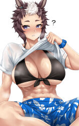Rule 34 | 1girl, ?, abs, absurdres, animal ears, bikini, black bikini, blue eyes, blue shorts, breasts, brown hair, clothes lift, highres, horse ears, horse girl, large breasts, lifting own clothes, looking to the side, mejiro ryan (umamusume), multicolored hair, navel, print shorts, shirt, shirt lift, shorts, simple background, solo, stmoon, streaked hair, swimsuit, umamusume, white background, white hair, white shirt