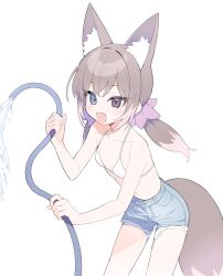 Rule 34 | 1girl, :d, animal ear fluff, animal ears, bare arms, bare shoulders, bikini, bikini top only, billbung, blue eyes, blue shorts, breasts, brown hair, brown tail, collarbone, cowboy, cowboy shot, denim, denim shorts, eyelashes, fang, fox ears, fox girl, fox tail, hair ornament, halterneck, heterochromia, holding, holding hose, hose, leaning forward, long hair, low twintails, multicolored hair, open mouth, original, purple eyes, shorts, simple background, small breasts, smile, solo, standing, string bikini, swimsuit, tail, twintails, water, western, white background, white bikini
