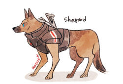 Rule 34 | 1other, agatemano, all fours, animal, armor, blue eyes, commander shepard, dog, english text, full body, german shepherd, looking ahead, mass effect (series), shadow, simple background, tagme, tail, tumblr, white background