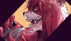 1boy animal_ears bakemono_no_ko bandaged_arm bandages bear_boy bear_ears close-up commentary_request fangs furry furry_male holding kazunoko_(nokkonko) kumatetsu looking_to_the_side open_mouth red_fur smile sweat very_sweaty