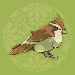 Rule 34 | animal focus, bird, bright pupils, brown eyes, closed mouth, commentary request, full body, gen 1 pokemon, green background, lowres, nintendo, no humans, pidgey, pokemon, pokemon (creature), simple background, solo, tetori, white pupils
