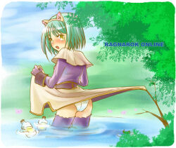 Rule 34 | 1girl, 2000s (style), accidental exposure, acolyte (ragnarok online), animal ears, ass, bad id, blue sky, blush, brown capelet, brown skirt, capelet, cat ears, clothes lift, cowboy shot, day, fake animal ears, from behind, gameplay mechanics, gloves, green hair, grey gloves, long sleeves, looking at viewer, looking back, nose blush, open mouth, outdoors, panties, poring, puddle, purple shirt, purple thighhighs, ragnarok online, shirt, short hair, skirt, skirt lift, sky, solo, tachibana sakuya (matsurika), thighhighs, tree, underwear, water, white panties, yellow eyes