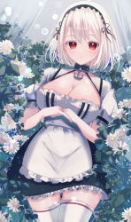 Rule 34 | 1girl, absurdres, anchor choker, apron, azur lane, breasts, choker, collarbone, cowboy shot, flower, frilled apron, frilled choker, frills, hair between eyes, highres, junineu, large breasts, looking at viewer, official alternate costume, puffy short sleeves, puffy sleeves, red eyes, short hair, short sleeves, sirius (azur lane), solo, thighhighs, white apron, white flower, white hair, white thighhighs