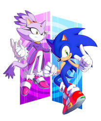 1boy 1girl blaze_the_cat chaosc0ntr0l closed_mouth forehead_jewel frown full_body furry furry_female furry_male gloves green_eyes index_finger_raised jewelry looking_at_viewer necklace pink_shoes red_shoes shoes smile sneakers sonic_(series) sonic_rush sonic_the_hedgehog white_gloves yellow_eyes