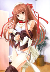 Rule 34 | 1girl, apron, blouse, bow, bow panties, bra, breasts, brown eyes, brown hair, cameltoe, cleavage, clothes pull, covered erect nipples, female focus, headdress, highres, kazami yui, lace, lace-trimmed bra, lace-trimmed panties, lace trim, lingerie, long hair, maid, maid apron, medium breasts, miniskirt, nekonyan, panties, parfait chocolat second brew, red hair, ribbon, shirt, skirt, skirt pull, solo, standing, thighhighs, twintails, underwear, undressing, white bra, white panties