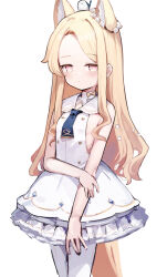 Rule 34 | 1girl, absurdres, animal, animal ears, animal on head, ascot, bird, bird on head, blonde hair, blue archive, blue ascot, breasts, closed mouth, dress, forehead, highres, long hair, looking at viewer, on head, pantyhose, pink eyes, seia (blue archive), simple background, sleeveless, sleeveless dress, small breasts, solo, somray, tail, white background, white dress, white pantyhose