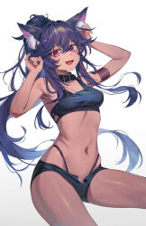 Rule 34 | 1girl, absurdres, animal ear fluff, animal ears, armpits, arms up, bare arms, bare shoulders, black choker, black hair, black shirt, black shorts, breasts, brown kemomimi-chan (krr), choker, commission, crop top, dark-skinned female, dark skin, di le to, dungeon and fighter, fang, highleg, highres, long hair, looking at viewer, medium breasts, micro shorts, midriff, navel, open fly, open mouth, original, panty straps, pink eyes, ponytail, revision, shirt, shorts, simple background, sleeveless, sleeveless shirt, smile, solo, stomach, thighs, very long hair, white background, wolf ears