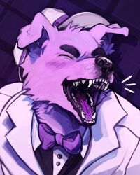 1boy absurdres animal_ears barking blush bow bowtie closed_eyes coat commentary dog_boy dog_ears dog_nose eerizon english_commentary facing_to_the_side fangs folded_ear furry furry_male hat highres male_focus notice_lines open_mouth purple_background purple_bow purple_bowtie purple_fur smile uhyeah_(youtuber) whiskers white_coat white_hat youtube