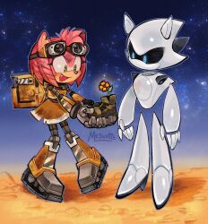 1boy 1girl amy_rose black_sclera blue_eyes colored_sclera commentary cosplay english_commentary eve_(wall-e) eve_(wall-e)_(cosplay) flower furry furry_female goggles green_eyes highres holding holding_shoes holding_unworn_clothes metal_sonic metamiie outdoors robot shoes smile sonic_(series) star_(sky) unworn_shoes wall-e wall-e_(character) wall-e_(character)_(cosplay)