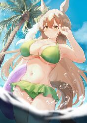 Rule 34 | 1girl, absurdres, alternate costume, animal ears, arm up, armpits, bikini, bikini skirt, blue sky, breasts, brown hair, cleavage, commentary request, cowboy shot, day, ear ornament, green bikini, hair between eyes, highres, holding, holding swim ring, horse ears, horse girl, horse tail, innertube, large breasts, long hair, multicolored hair, navel, outdoors, p1 fcoyaa, palm tree, purple innertube, satono diamond (umamusume), sky, solo, stomach, streaked hair, swim ring, swimsuit, tail, tree, umamusume, very long hair, wading, water, white hair, yellow eyes