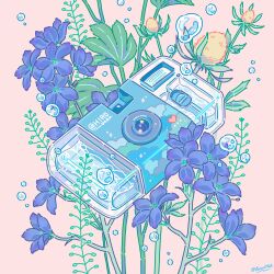 blue_flower bubble bud camera commentary_request fern flower heart highres hiro046k no_humans object_focus orange_background original signature simple_background water