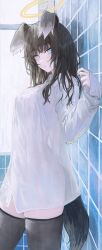1girl absurdres animal_ears black_thighhighs blue_archive blue_eyes bright_pupils closed_mouth collared_shirt dog_ears dog_girl dog_tail flippy_(cripine111) halo hand_up hibiki_(blue_archive) highres indoors long_hair long_sleeves looking_at_viewer no_pants shirt solo standing tail thighhighs white_pupils white_shirt