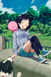 Rule 34 | 1girl, 1other, absurdres, alien, blue hair, blue hoodie, blue shorts, blue sky, blue socks, blush, closed eyes, cloud, cloudy sky, day, dog, fence, flower, grass, hair flower, hair ornament, highres, hood, hood down, hoodie, iron fence, kneehighs, kuze shizuka, laughing, long sleeves, medium hair, open mouth, outdoors, shoes, shorts, sitting, sky, smile, sneakers, socks, some1else45, takopii, takopii no genzai, teeth, tongue, tree, white flower
