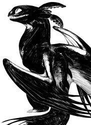 animal animal_focus black_scales dragon from_side greyscale high_contrast highres how_to_train_your_dragon_(series) looking_to_the_side monochrome no_humans piyomotsu simple_background solo teeth toothless white_background wings