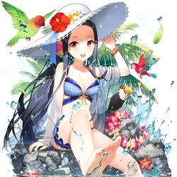 1girl :d aircraft airplane animal arm_up bare_legs bare_shoulders barefoot bikini bird black_hair blue_bikini blush bracelet breasts bug chicken clarice_lapis cleavage collarbone crossed_legs dolphin dress duck feet fish flower food frills frog front-tie_top fruit goldfish hair_flower hair_ornament hand_on_headwear hat hat_flower innertube jewelry long_hair looking_at_viewer medium_breasts nail_polish open_mouth parrot penguin pink_eyes purple_eyes red_eyes ribbon rubber_duck salt_(salty) seagull see-through_clothes sitting skirt small_breasts smile soles solo splashing straw_hat sun_hat swim_ring swimsuit toes uchi_no_hime-sama_ga_ichiban_kawaii very_long_hair water water_drop watermelon wet