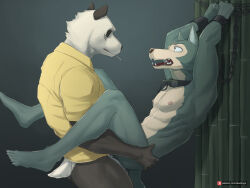 2boys abs anal animal_ears armpits ass bamboo bara bare_pectorals barefoot beastars biceps bound bound_wrists carrying carrying_person chain chain_leash cigarette clenched_hands collar completely_nude convenient_censoring cuffs furry furry_male gouhin highres leash legoshi looking_at_another male_focus multiple_boys muscular muscular_male nipples no_pants nude open_mouth panda_boy panda_ears patreon_logo patreon_username pectorals scar scar_across_eye scar_on_face sex shackles smoking tail toned toned_male wide-eyed wolf_boy wolf_ears wolf_tail x6udpngx yaoi