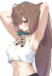 Rule 34 | 1girl, ahoge, armpits, arms behind head, arms up, black choker, black hair, black streaks, blush, breasts, brown eyes, brown feathers, brown hair, chahanramen, choker, commentary, cropped shirt, english commentary, feather in mouth, feathers, highres, hololive, hololive english, long hair, looking at viewer, medium breasts, midriff, nanashi mumei, navel, simple background, solo, sweat, tank top, upper body, very long hair, virtual youtuber, white background, white hair, white streaks, white tank top