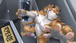 1boy abs animal_ears bara beige_fur blush completely_nude erection facial_hair foot_out_of_frame foreshortening furry furry_male goatee highres large_pectorals live_a_hero looking_away male_focus male_pubic_hair mature_male muscular muscular_male navel nipples no_mask nude orange_fur pectorals penis pubic_hair ryekie_(live_a_hero) short_hair skarltano solo stomach tail thick_eyebrows tiger_boy tiger_ears tiger_tail uncensored