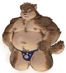 1boy animal_ears bara belly blue_fundoshi blush brown_fur bulge commentary dog_boy dog_ears dog_nose dog_tail english_commentary facial_scar fang fat fat_man furry furry_male hands_on_own_hips highres looking_at_viewer male_focus moritaka_(housamo) navel nipples notched_ear official_alternate_costume open_mouth overload_(nuhoangxitray) paw_print pectorals scar scar_across_eyebrow scar_on_arm scar_on_cheek scar_on_face scar_on_nose sweat sweatdrop tail tokyo_houkago_summoners topless_male very_sweaty