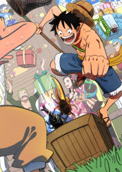 1girl 5boys animal antlers bandana bandana_around_arm beetle bird black_bandana black_hair blue_eyes blue_hair blue_hood blue_shorts box bug butterfly_net clenched_hand disembodied_hand earrings flower franky_(one_piece) gift gift_box grass green_hair green_kimono hair_flower hair_ornament hana_hana_no_mi hand_net hat highres holding holding_butterfly_net horns insect japanese_clothes jewelry kimono long_hair long_nose looking_at_another looking_up matsuda_midori mixed-language_commentary monkey_d._luffy multiple_boys nico_robin official_art one_piece reindeer_antlers roronoa_zoro sandals sash scar scar_across_eye scar_on_chest scar_on_face seagull shorts sky smile spiked_hair straw_hat sunglasses sweatdrop tony_tony_chopper topless_male usopp yellow_sash