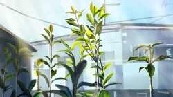absurdres artist_name balcony banishment blue_sky building commentary_request day highres no_humans original outdoors plant plant_focus power_lines scenery signature sky sunlight window