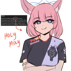 1girl animal_ears arrow_(symbol) black_shirt blue_archive blue_eyes blunt_bangs brand_name_imitation closed_mouth commentary crossed_arms english_commentary english_text fox_ears g2_esports halo iog626 looking_at_viewer name_connection niko_(blue_archive) niko_(gamer) pink_hair shirt short_hair short_sleeves simple_background sketch smile solo white_background