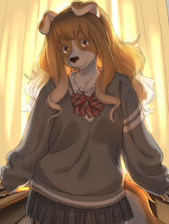 1girl body_fur brown_eyes brown_fur brown_hair classroom claws commentary_request cowboy_shot curtains desk dog_girl furry furry_female grey_sweater highres indoors kikurage_(crayon_arts) long_hair looking_at_viewer original school_desk skirt solo standing sweater tail