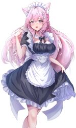 Rule 34 | 1girl, :3, animal ears, apron, black dress, blush, braid, braided bun, breasts, cleavage, crown braid, dress, frilled apron, frills, hair between eyes, hair bun, hair ornament, hair ribbon, hakui koyori, highres, hololive, large breasts, long hair, looking at viewer, maid, maid apron, maid headdress, minoriminoru0, open mouth, pink eyes, pink hair, pink ribbon, ribbon, short sleeves, simple background, smile, solo, virtual youtuber, waist apron, white apron, white background, wolf ears, wolf girl