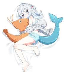 1girl absurdres barefoot blue_eyes blue_nails blush ebi-chan_(gawr_gura) feet fins fish_tail gawr_gura hair_ornament highres hololive hololive_english hugging_object looking_at_viewer lying medium_hair multicolored_hair nail_polish on_side shark_girl shark_hair_ornament shark_tail simple_background solo streaked_hair stuffed_shrimp tail toenail_polish toenails two_side_up ugaaaa1 virtual_youtuber white_background