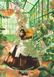 1girl animal_ears apron black_dress dress full_body greenhouse grey_hair highres holding holding_watering_can jamu_(yakinikuoi4) juliet_sleeves long_sleeves looking_at_viewer maid maid_apron original puffy_sleeves rabbit_ears red_eyes solo standing twitter_username watering_can white_apron