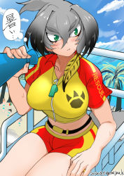 Rule 34 | 1girl, bad id, bad pixiv id, beach, black hair, blush, breasts, day, green eyes, grey hair, highres, hot, kemono friends, kemono friends 3, large breasts, lifeguard, megaphone, multicolored hair, outdoors, saijou k, shoebill (kemono friends), short shorts, shorts, sitting, skindentation, sky, sweat, translated, two-tone hair, whistle, whistle around neck
