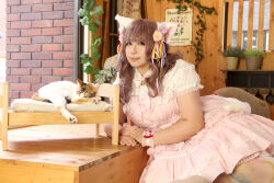 Rule 34 | 1girl, animal ears, asian, brown hair, cat ears, chouzuki maryou, highres, lipstick, makeup, photo (medium), plump, solo
