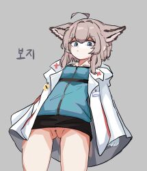 1girl animal_ears arknights blue_eyes brown_hair green_shirt grey_background highres korean_text lab_coat looking_at_viewer medium_hair namsek pussy shirt simple_background solo sussurro_(arknights) thighs