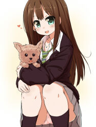 Rule 34 | 1girl, :d, animal, black cardigan, black socks, blush, brown hair, cardigan, commentary request, diagonal-striped clothes, diagonal-striped necktie, dog, earrings, feet out of frame, green eyes, green necktie, grey skirt, heart, holding, holding animal, holding dog, idolmaster, idolmaster cinderella girls, jewelry, kneehighs, long hair, looking at viewer, naitou kouse, necklace, necktie, open mouth, panties, pantyshot, pink panties, pleated skirt, school uniform, shibuya rin, skirt, smile, socks, solo, squatting, striped clothes, striped necktie, stud earrings, underwear