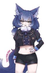 1girl :3 adapted_costume animal_ears armband bike_shorts black_hair black_shirt black_shorts blue_bow blue_bowtie blue_hair blue_trim blush bow bowtie crop_top dire_wolf_(kemono_friends) extra_ears fur_collar gloves gold_trim hair_between_eyes hand_on_own_hip highres japari_symbol juliet_sleeves kemono_friends kemono_friends_v_project long_hair long_sleeves midriff multicolored_hair navel plaid_trim puffy_sleeves shirt short_shorts shorts sidelocks solo tail twintails upper_body victarionsc virtual_youtuber white_fur white_gloves white_hair wolf_ears wolf_girl wolf_tail yellow_eyes