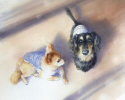 colored_pencil_(medium) day dog from_above full_body highres looking_at_viewer lying no_humans on_stomach ooy33151086 original shadow sunlight traditional_media window_shadow