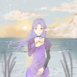 1girl beach black_choker blue_eyes blue_hair blush braid breasts choker dress dusk fate/stay_night fate_(series) hand_on_own_chest highres ilttlep long_hair long_sleeves looking_at_viewer medea_(caster)_(fate) medea_(fate) ocean pointy_ears side_braid smile solo sun