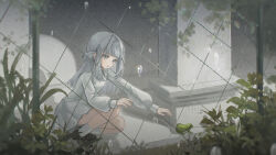 1girl :o aged_down black_shoes chain-link_fence collared_dress dress fence frog full_body grey_eyes grey_hair hair_bun highres long_hair looking_at_animal outdoors outstretched_arm pillar plant rain reaching reverse:1999 shoes short_dress single_side_bun socks solo squatting vertin_(reverse:1999) water_drop white_dress white_socks yukiri_(l_ii)