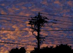 blue_sky cloud cloudy_sky glowing highres hisachan55cute no_humans original outdoors power_lines scenery silhouette sky sky_focus sunset tree utility_pole