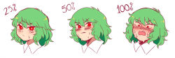 1girl embarrassed green_hair hanaarts highres kazami_yuuka looking_at_viewer o_o open_mouth red_eyes short_hair solo sweat touhou