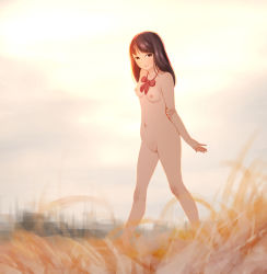1girl black_hair casual_nudity highres kai-o long_hair nipples nude nudist original outdoors public_indecency pussy smile sunset